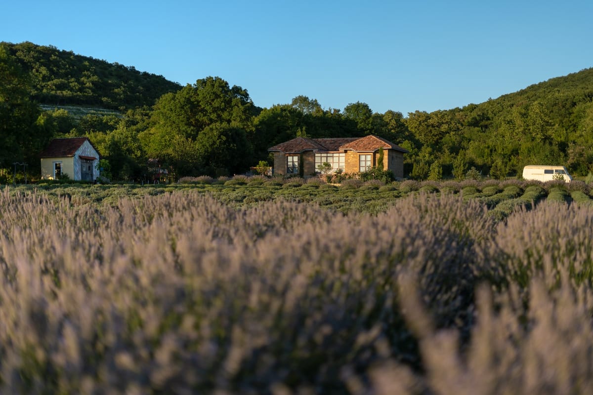 Усадьба Maison des plantes