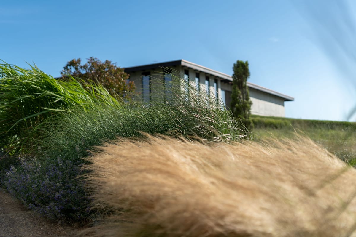 Винодельня Гай-Кодзор